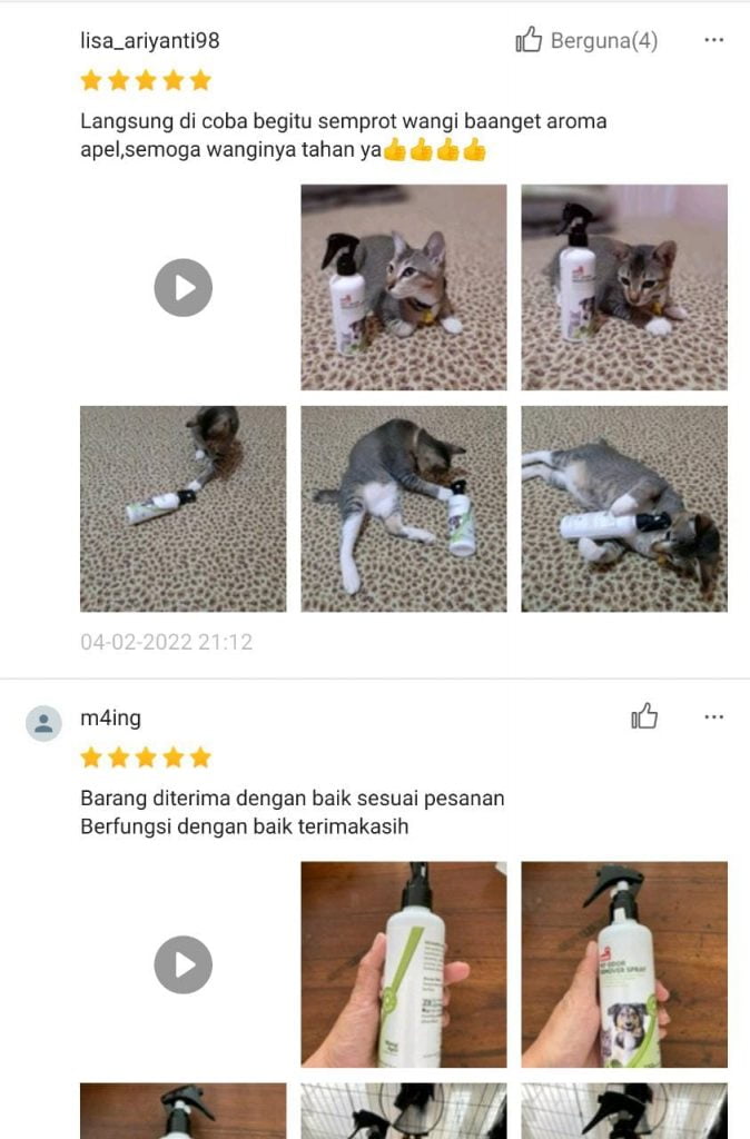 WhatsApp Image 2023-03-11 at 13.35.14