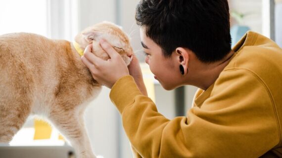 3 cara memanggil kucing yang benar