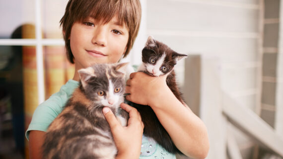 5 Tips sederhana untuk merawat hewan peliharaan