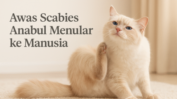 Awas Scabies Anabul Menular ke Manusia
