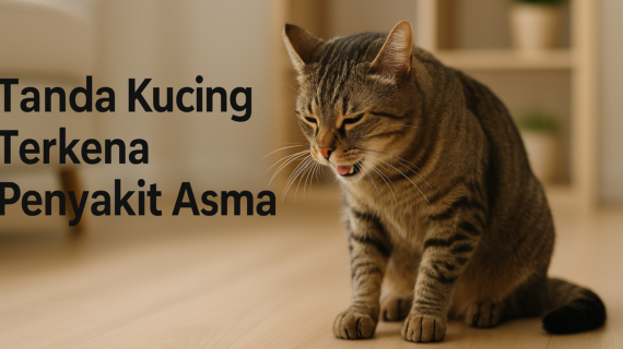 Tanda Kucing Terkena Penyakit Asma