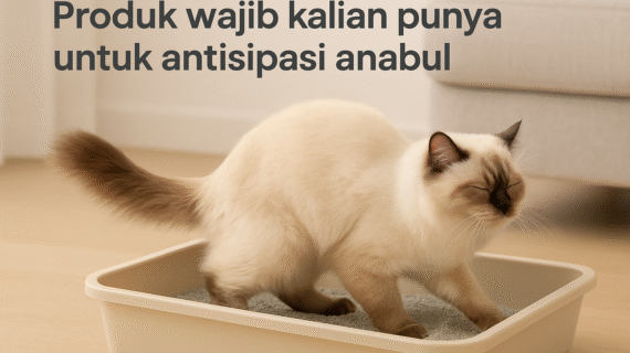 Produk Wajib Kalian Punya untuk Antisipasi Anabul