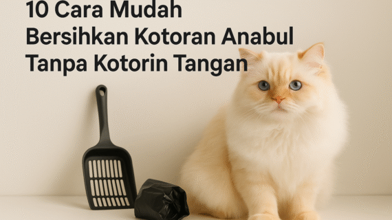 “10 Cara Mudah Bersihkan Kotoran Anabul Tanpa Kotorin Tangan”