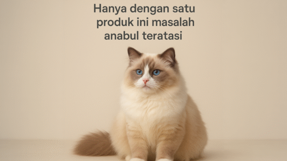 Hanya dengan Satu Produk Ini, Masalah Anabul Bisa Teratasi