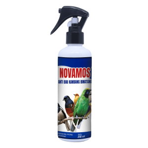 Novamos Burung di Botol